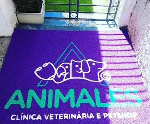 Tapete personalizado em Santos - Litoral Kap, foto 18
